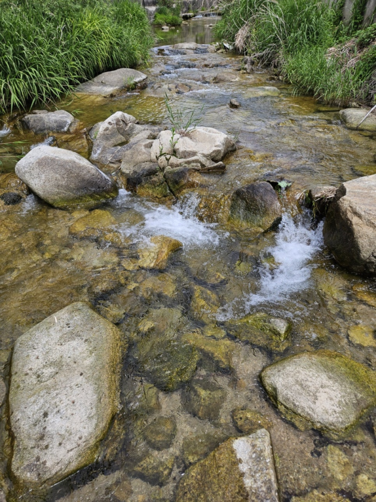 동두천(동두천시) 큐비클 어린이집 화장실 큐비클 칸막이 시공! 귀여운 코끼리 디자인으로 변신 15 image 215